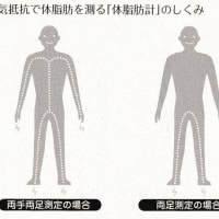 『体脂肪計』『体脂肪計の仕組み』