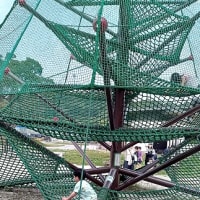 念願かなって