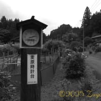 筋肉痛が残る中、番外編...