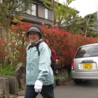 事務所だより