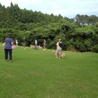 富士でプール遊び