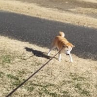 クリンへの想いは尽きなくて・・・285