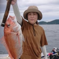 大分県佐伯市蒲江沖の海釣り、真鯛釣れました❗