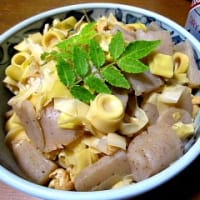 久しぶりのフライト