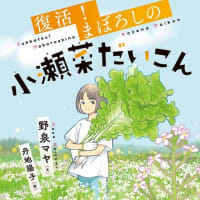 『復活！　まぼろしの小瀬菜だいこん』野泉マヤ作・丹地陽子絵（文研出版）