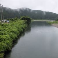 本日の海部川