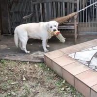 ドキッとした出来事