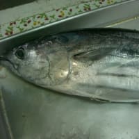 ３月２８日（月）　おすすめ品