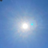 あなたは何をしたいのですか？