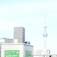 思いで作り　上野の動物園　パンダちゃんファミリー