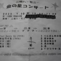 ユリ、アガパンサス　＆　二胡の調べ