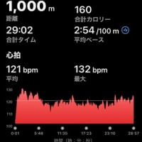 庭木の剪定１時間 & 今日のトレーニング