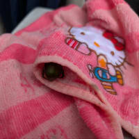 明日はちゃんと結果を貰う