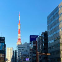 ノッポン兄弟に仲間が増えました The Tokyo Tower ノッポン兄弟に仲間が増えました The Tokyo Tower