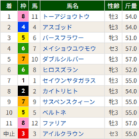 【アスゴッド】勝てんのかっ！(°◇°;) 　6/15函館3R・２着