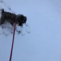 痛いっ！