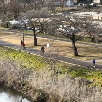 ただいま療養中