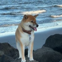 カレンダーにしたら？と薦められた写真