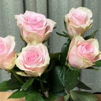 永遠に美しく…