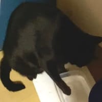 おてて…