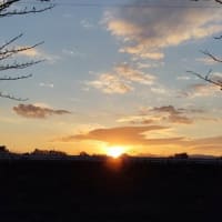 第173回　12月21日報告