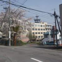 ヘルシーウォーキング㉖ in 春爛漫！小樽の街並みを一望する平磯・手宮公園ウォーク