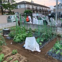 すくすく成長中！