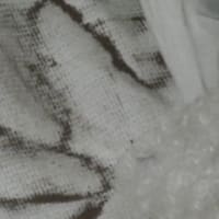   2025 6/16 １1話　僕があなたをほしいとしたら体だけ