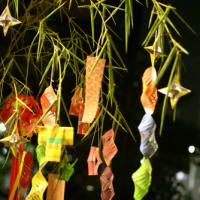 Tanabata☆Festival