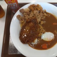 【すき家】おんたま煮込みハンバーグカレー。