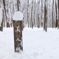 雪の中の、美人林。
