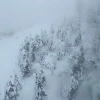 山形旅、蔵王の樹氷