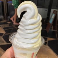 アラカン女子３人のマウイ旅　その⑧最後はアウラニ・ディズニーリゾート