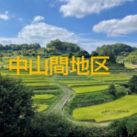 【一度の人生】近くて遠い山陰にも足しげく