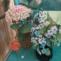 篠窪（しのくぼ）の隣町 秦野市西公民館にお花を展示　(2024/06/04）