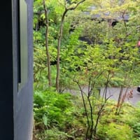 玉峰館　2024年7月