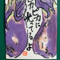 お野菜いろいろありがと😊