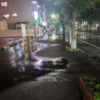 家まで、ずっと続く街路樹。