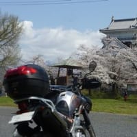 桜の季節　上山城