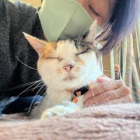 バタバタのオフ日