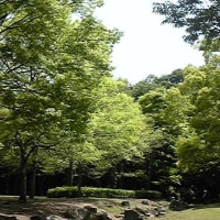 夢心地