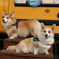 オフ会