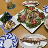 夫の好きな肉と煮物で晩ご飯