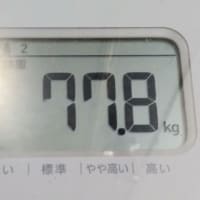 ３月ダイエット記録　11日目
