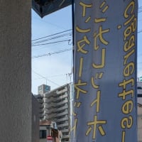 明日まで晴れ　１１８９２回目のブログ更新