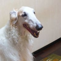 Ｈappy  Birthday(^^♪