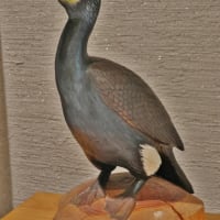 平城宮跡で野鳥写真展開催中！・・・夏鳥たちの小さな写真館