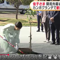佳子さま　ブラジル６日目カンポグランデ