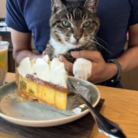 お誕生日♪