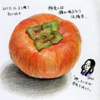 絵日記＆弁当　2015・12・3  「柿」
